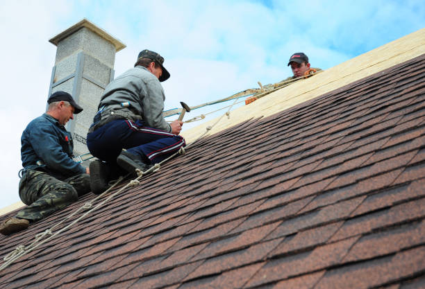 Best Best Roofing Contractors  in Sonoma State University, CA